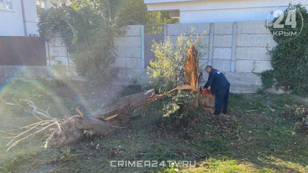 В центре Алушты очищают русло реки Улу-Узень В центре Алушты очищают русло реки Улу-Узень
