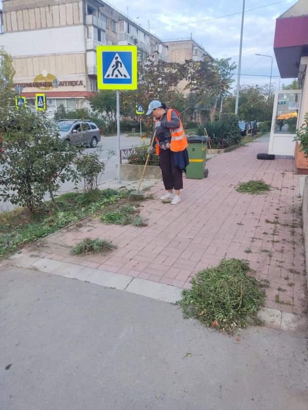 Александр Юрьев: Несмотря на то, что на многих улицах города проверили занижение газонов, после выпадения осадков всегда увеличивается объём работы по уборке прибордюрной части дороги Александр Юрьев: Несмотря на то, что на многих улицах города проверили занижение газонов, после выпадения осадков всегда увеличивается объём работы по уборке прибордюрной части дороги