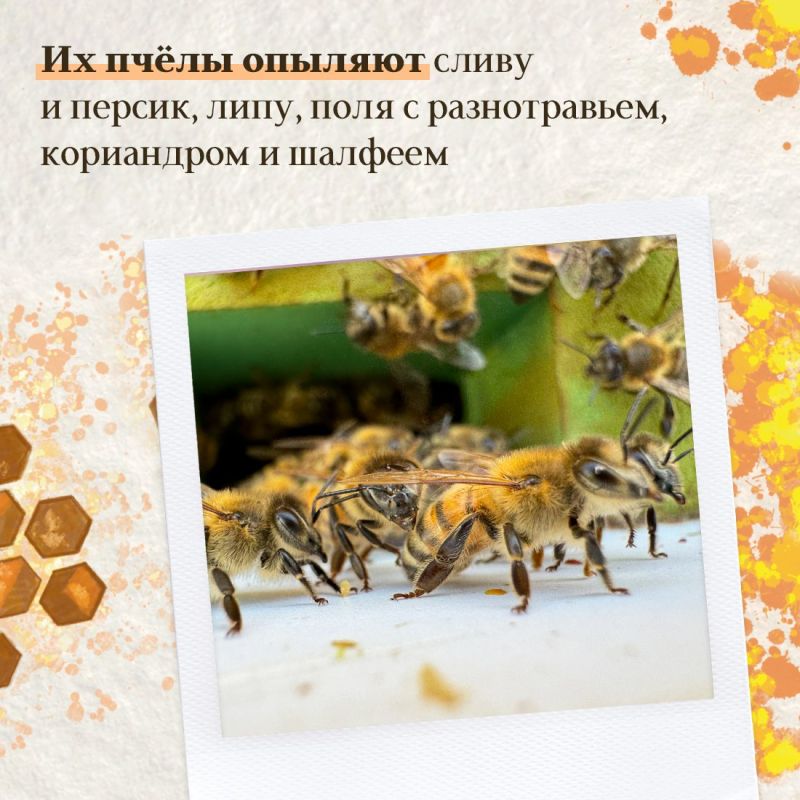 Министерство сельского хозяйства рассказывает о семьях, которые развивают своё дело на сельских территориях Министерство сельского хозяйства рассказывает о семьях, которые развивают своё дело на сельских территориях