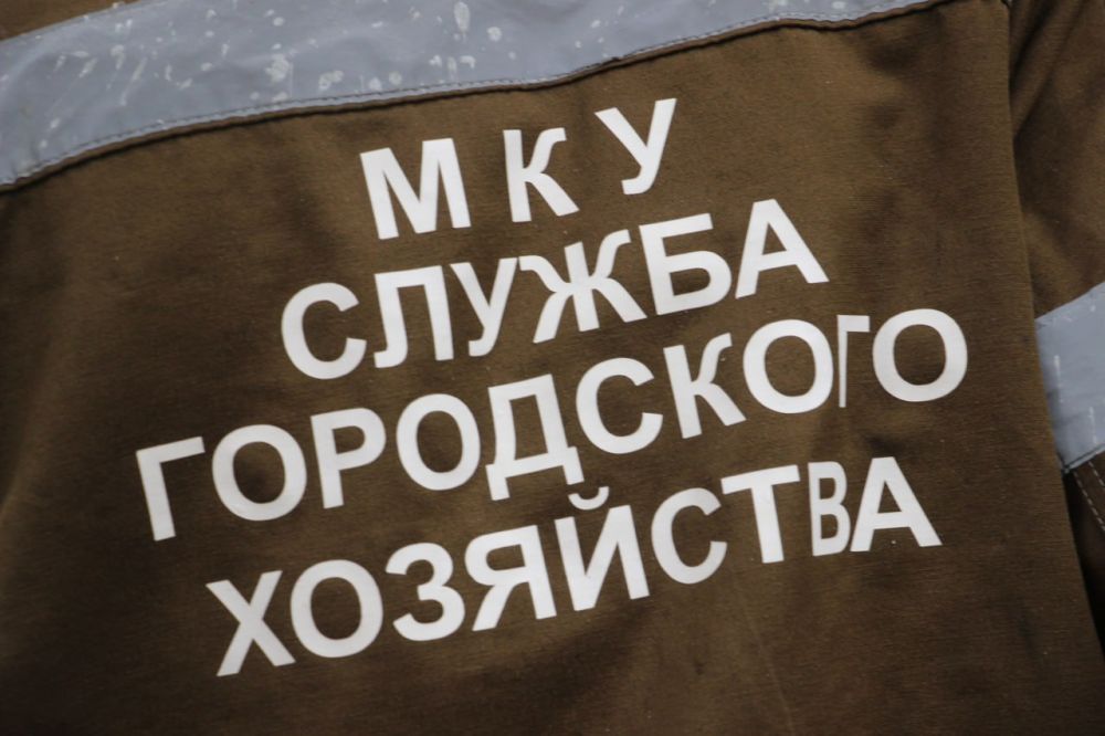 #зелёные_насаждения. #зеленхоз #зелёные_насаждения. #зеленхоз
