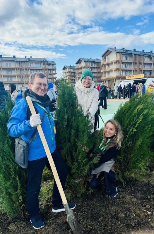 В бухте Капсель под Судаком высадили 2500 деревьев и кустарников В бухте Капсель под Судаком высадили 2500 деревьев и кустарников