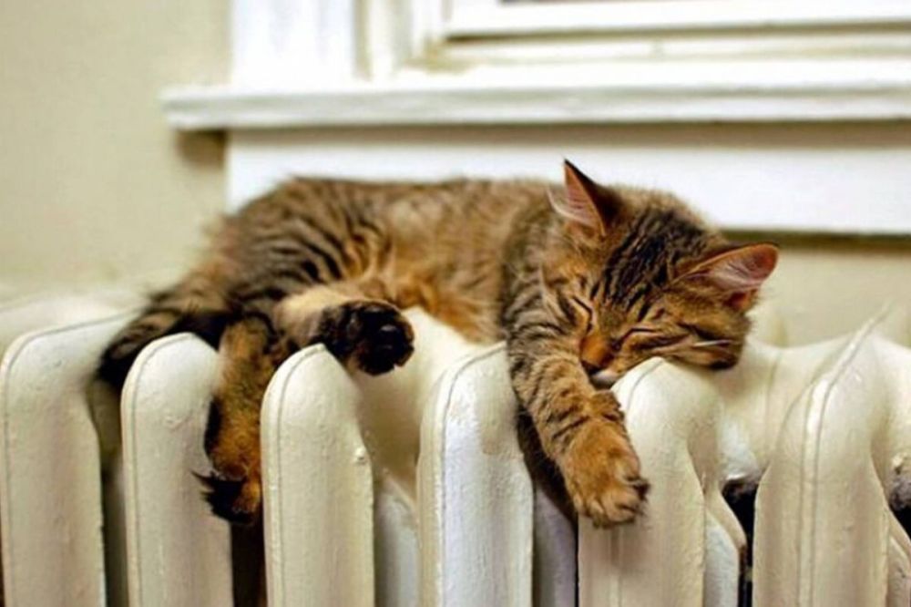 ��������� ������ ���������� ������