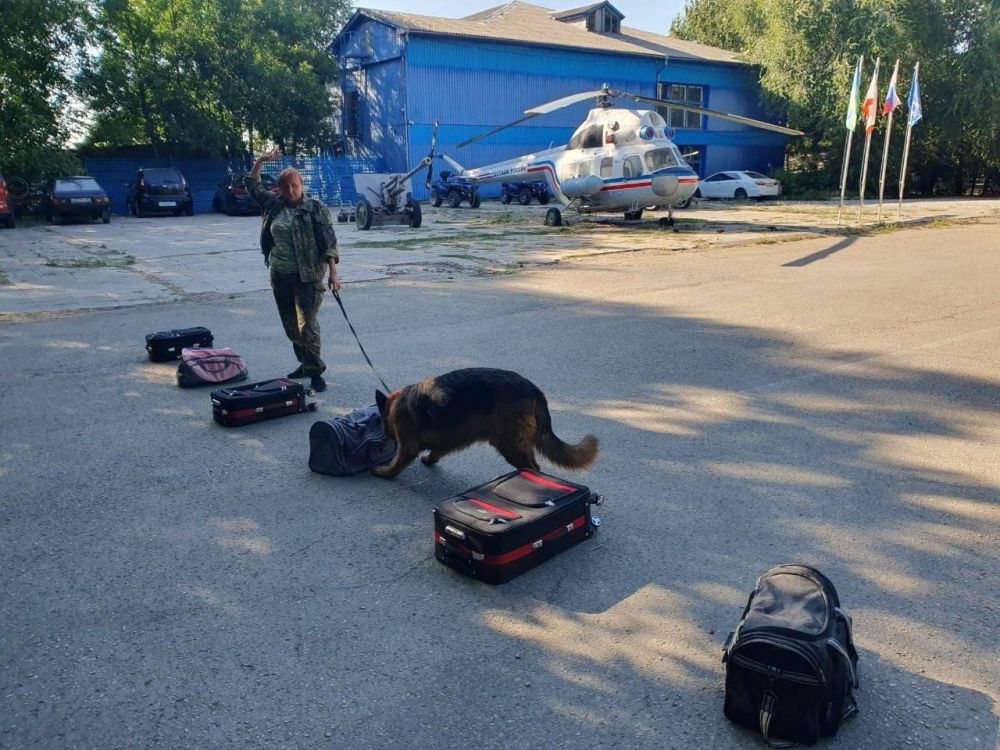 В Крыму на таможне служат 12 собак В Крыму на таможне служат 12 собак