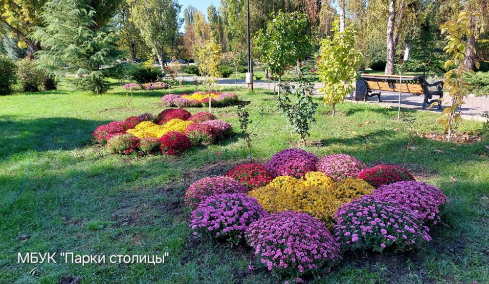 Осенние выходные радуют нас тёплой солнечной погодой Осенние выходные радуют нас тёплой солнечной погодой