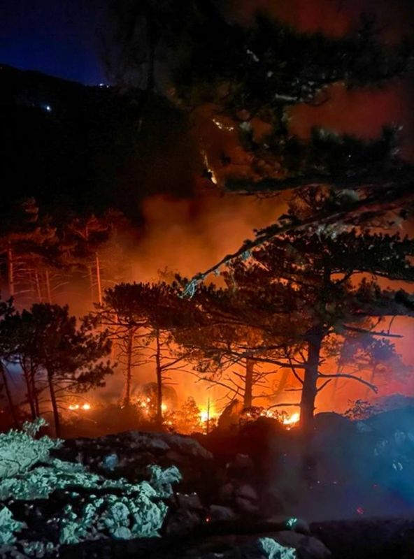 Ночью на вершине скалы Шаан-Кая в Крыму загорелся лес Ночью на вершине скалы Шаан-Кая в Крыму загорелся лес