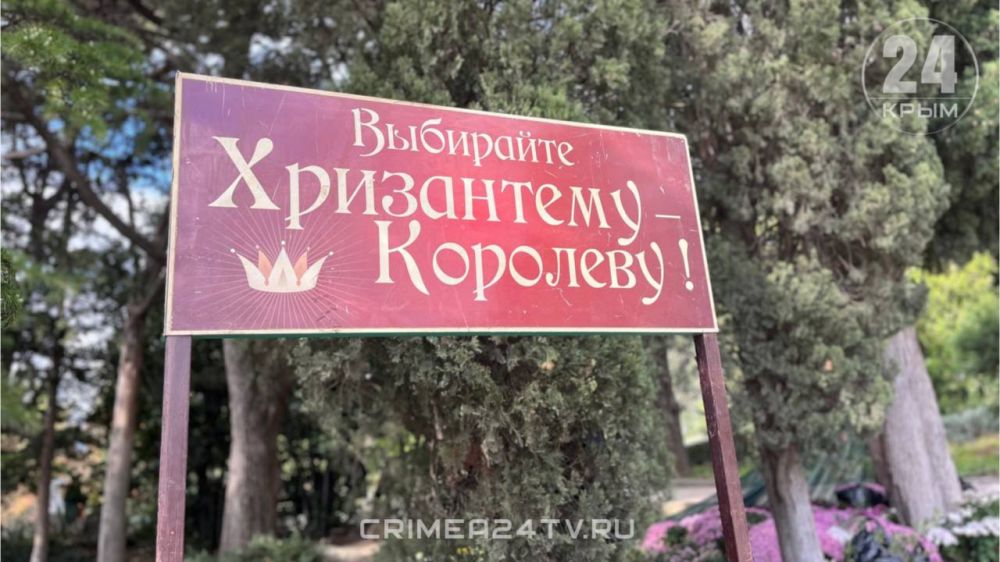 На Южном берегу Крыма стартовал 71-й «Бал хризантем» На Южном берегу Крыма стартовал 71-й «Бал хризантем»