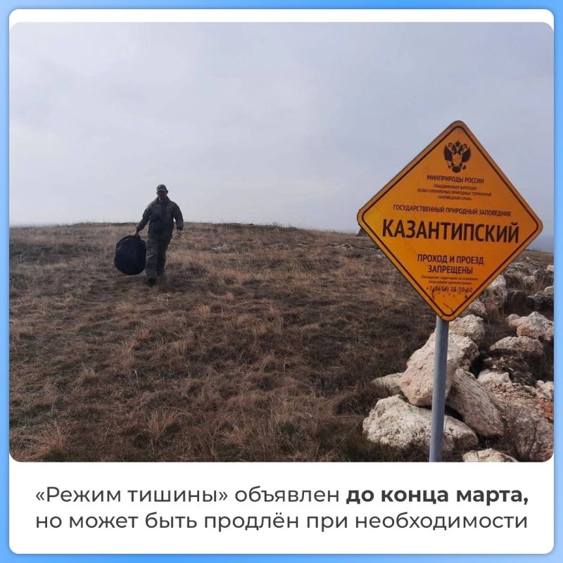 В Опукском и Казантипском заповедниках начался ежегодный «режим тишины» - их территории закрыты для посещения В Опукском и Казантипском заповедниках начался ежегодный «режим тишины» - их территории закрыты для посещения