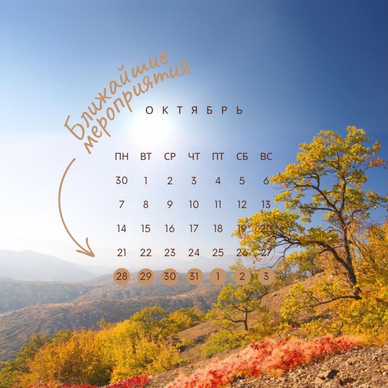 ��������� �����������: 28 ������� � 3 ������