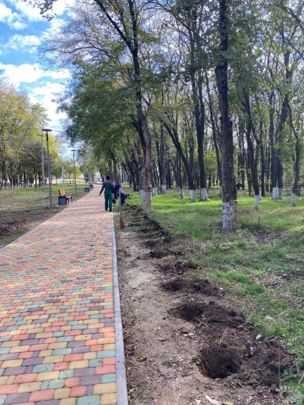 #зеленые_насаждения. В Керчи продолжаются работы по благоустройству городских цветников #зеленые_насаждения. В Керчи продолжаются работы по благоустройству городских цветников