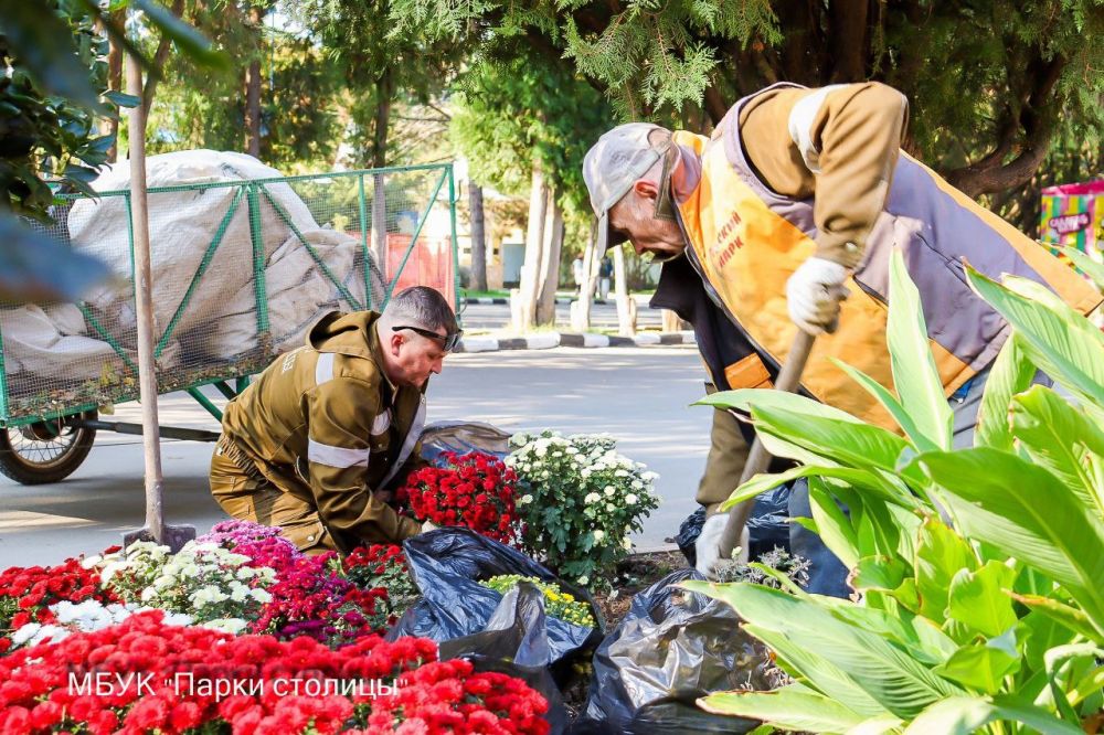 В Детском парке Симферополя высадят более 400 кустов хризантем В Детском парке Симферополя высадят более 400 кустов хризантем