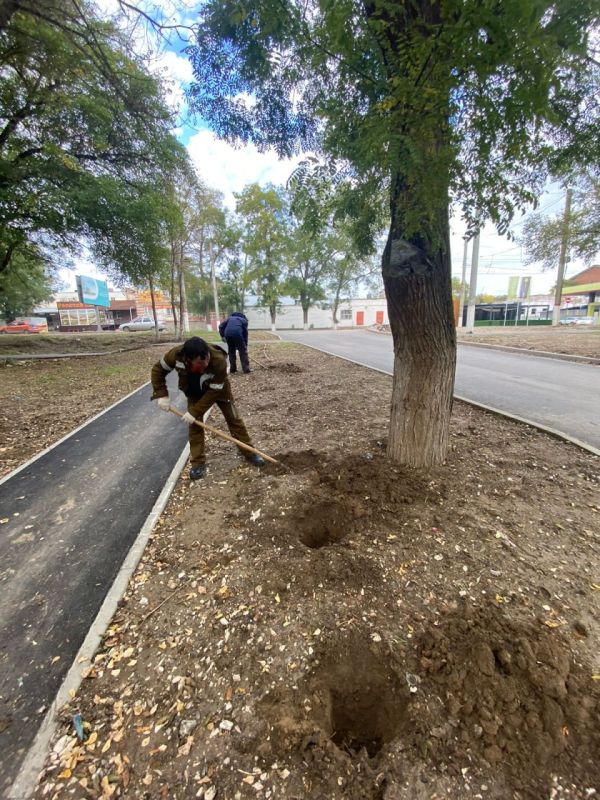 #зеленые_насаждения. В Керчи продолжаются работы по благоустройству городских цветников #зеленые_насаждения. В Керчи продолжаются работы по благоустройству городских цветников