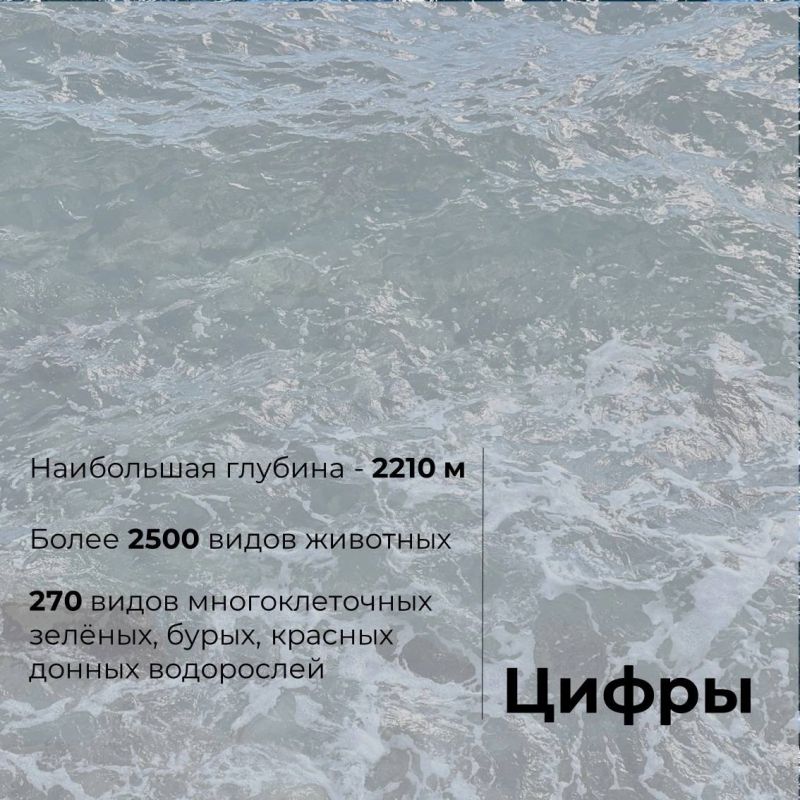 31 октября отмечается Международный день Чёрного моря 31 октября отмечается Международный день Чёрного моря