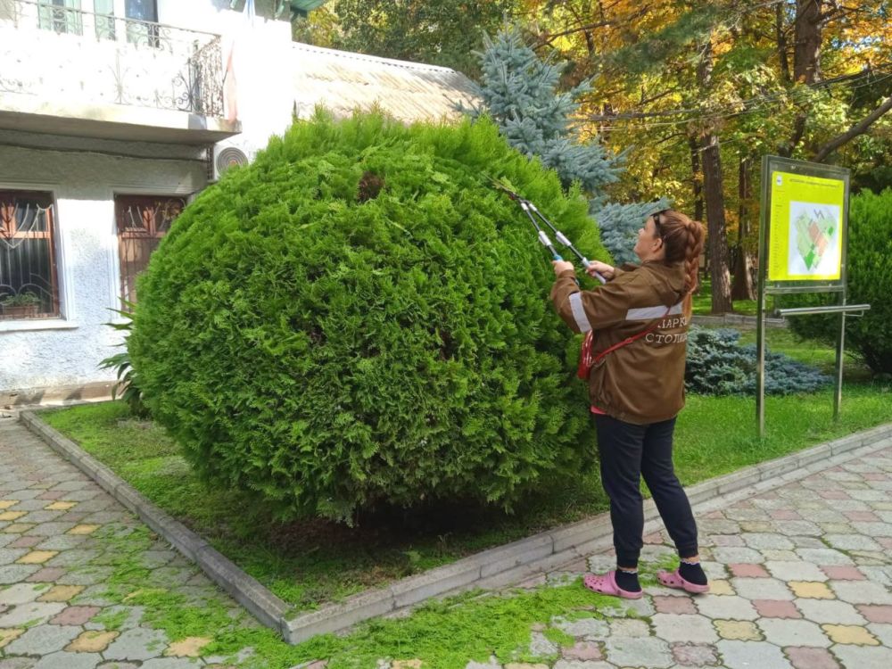 Сотрудники учреждения «Парки столицы» в постоянном режиме выполняют работы по уходу и содержанию парковых зон Симферополя Сотрудники учреждения «Парки столицы» в постоянном режиме выполняют работы по уходу и содержанию парковых зон Симферополя