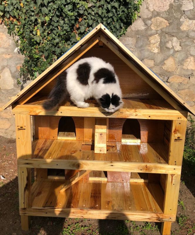 ������� ��� ������ � � ������!