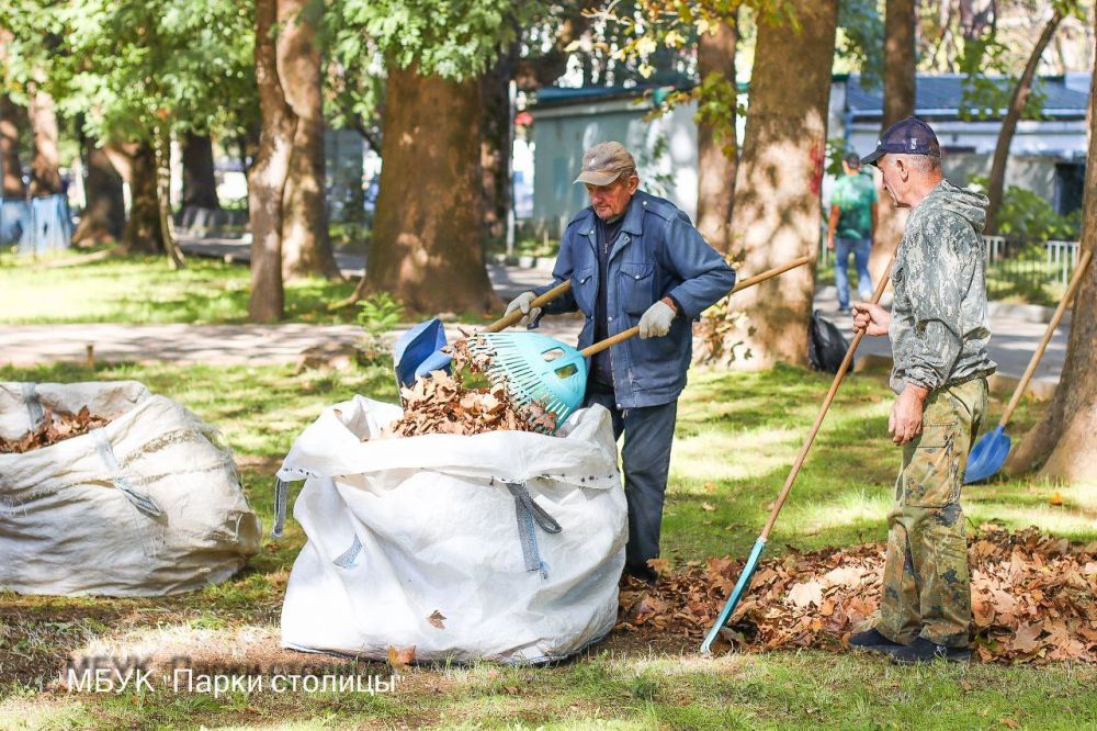 Сотрудники учреждения «Парки столицы» в постоянном режиме выполняют работы по уходу и содержанию парковых зон Симферополя Сотрудники учреждения «Парки столицы» в постоянном режиме выполняют работы по уходу и содержанию парковых зон Симферополя