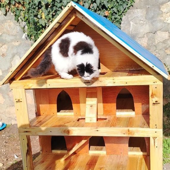 � ������ �������� ����� ��������������� ��� ���� ��������� ������