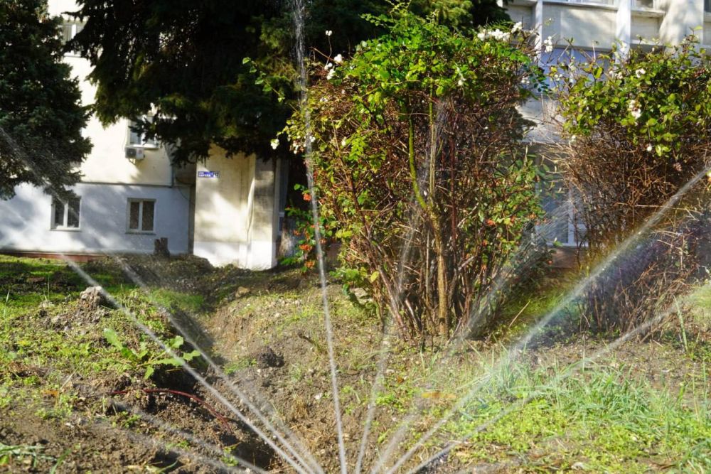 #городские_новости. В сквере у здания городской администрации прошла проверка работы новой поливочной системы #городские_новости. В сквере у здания городской администрации прошла проверка работы новой поливочной системы