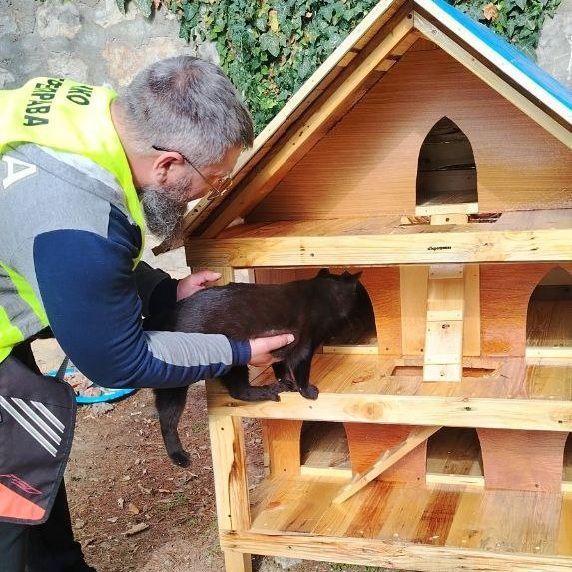 � ������ �������� ����� ��������������� ��� ���� ��������� ������