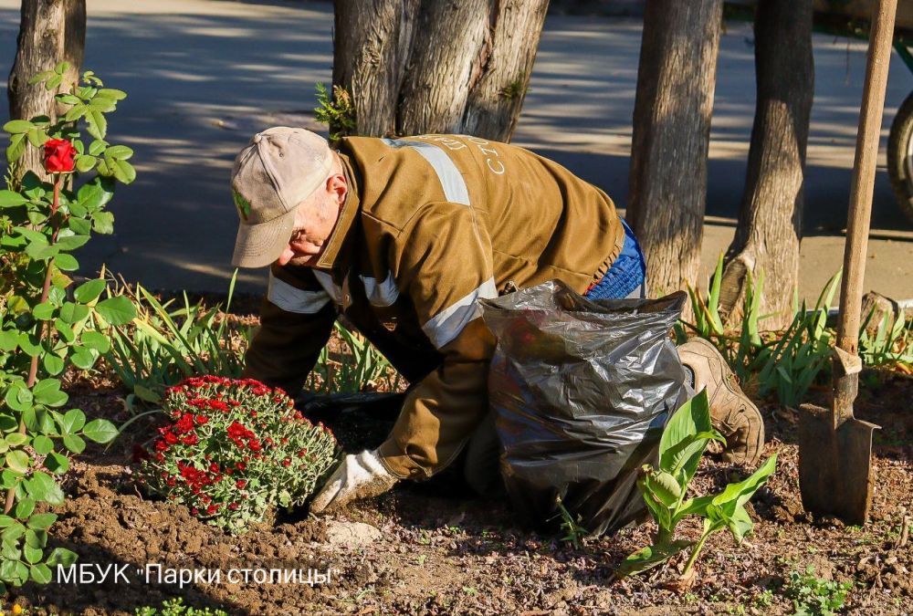 Сотрудники учреждения «Парки столицы» в постоянном режиме выполняют работы по уходу и содержанию парковых зон Симферополя Сотрудники учреждения «Парки столицы» в постоянном режиме выполняют работы по уходу и содержанию парковых зон Симферополя