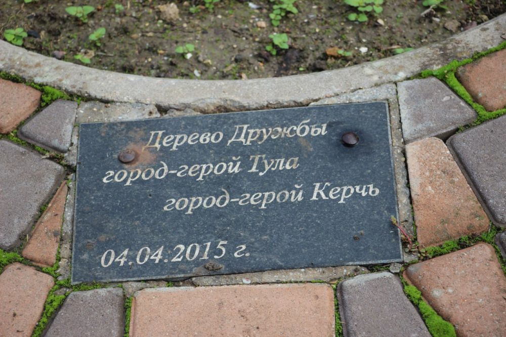 #зеленхоз. #зелёные_насаждения #зеленхоз. #зелёные_насаждения