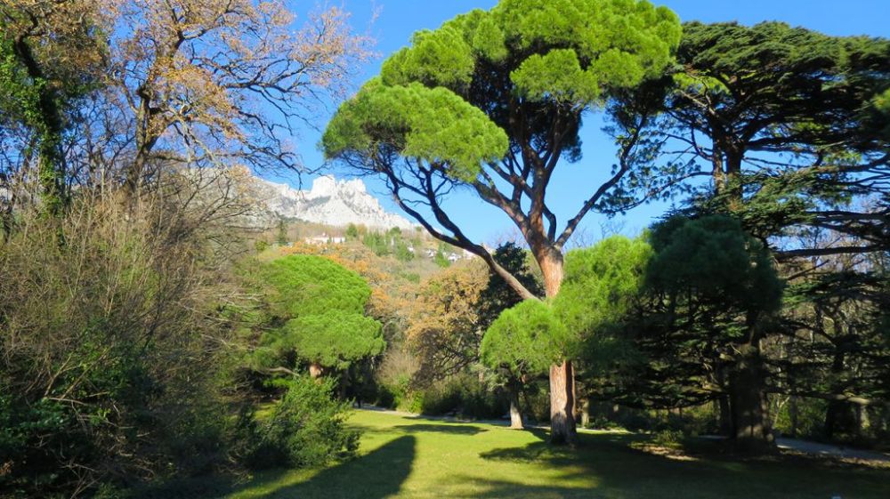 ����������� ��������-�������� �����-����������, ���� �� ����� ��������� ������������ ������ �����, ���������� ������ ��������� ��������