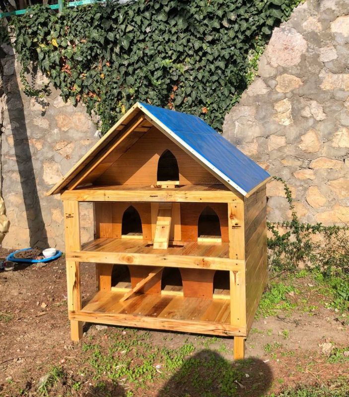 � ������ ���������� ��� ��� ��������� �����