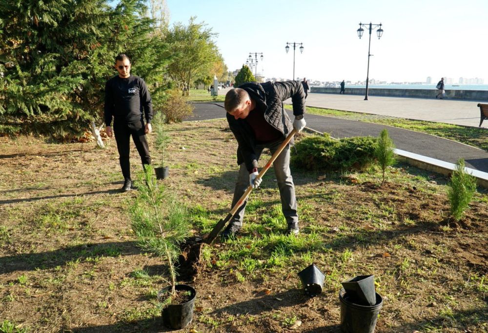 В Евпатории прошла экологическая акция «Посади свое дерево жизни» В Евпатории прошла экологическая акция «Посади свое дерево жизни»