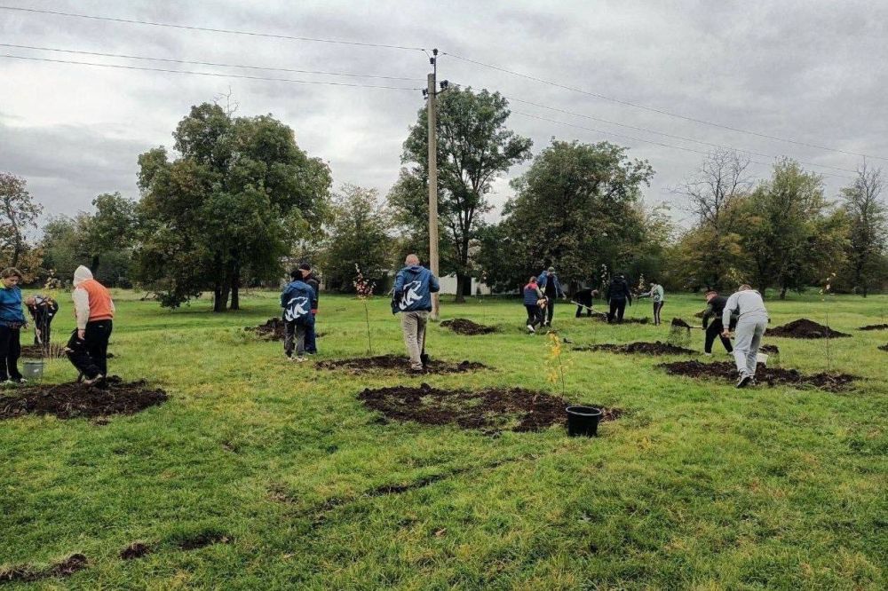 В Крыму прошла акция «Посади свое дерево жизни» В Крыму прошла акция «Посади свое дерево жизни»