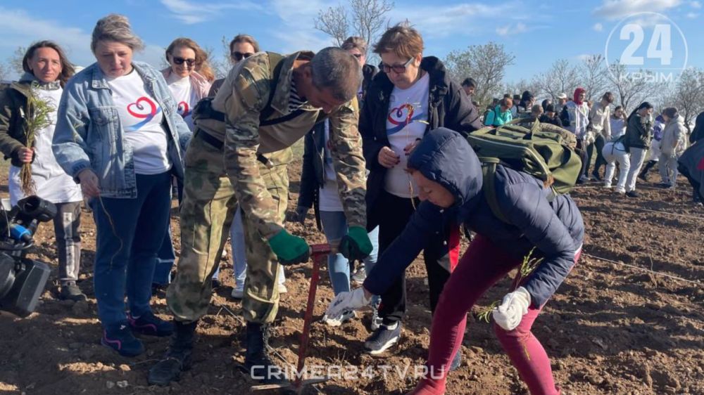 Евпатория тоже присоединилась к экологическому субботнику Евпатория тоже присоединилась к экологическому субботнику