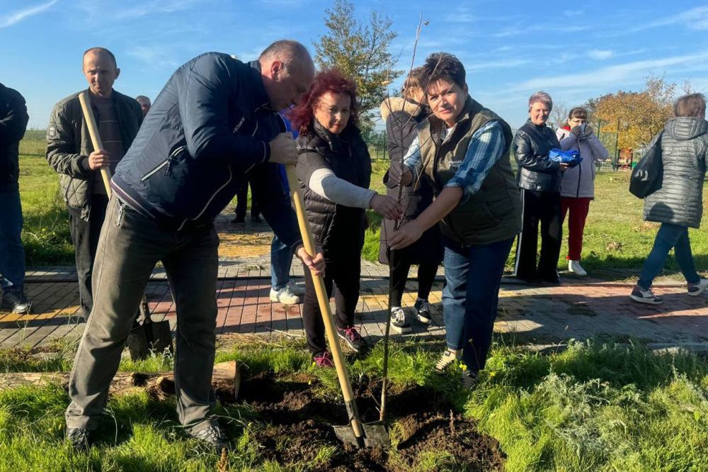 2 ноября на полуострове в рамках регионального партийного проекта «Единой России» «Чистый Крым» началась ежегодная экологическая акция «Посади своё дерево жизни» 2 ноября на полуострове в рамках регионального партийного проекта «Единой России» «Чистый Крым» началась ежегодная экологическая акция «Посади своё дерево жизни»