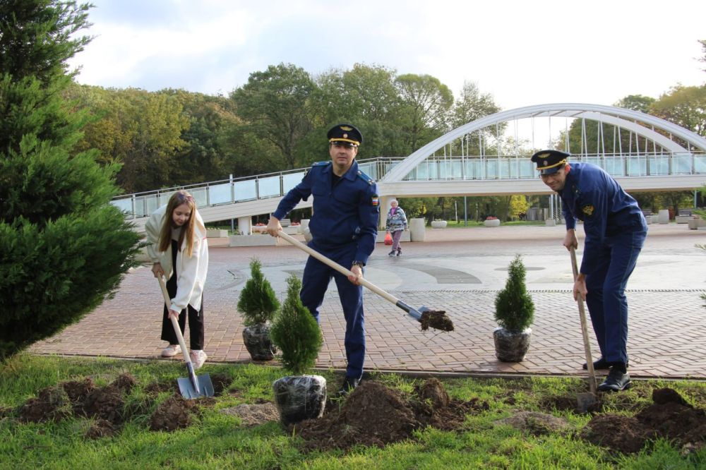 #день_чистоты. Сила в единстве! Керчь присоединилась к масштабной экологической акции «Посади свое дерево жизни».... #день_чистоты. Сила в единстве! Керчь присоединилась к масштабной экологической акции «Посади свое дерево жизни»....