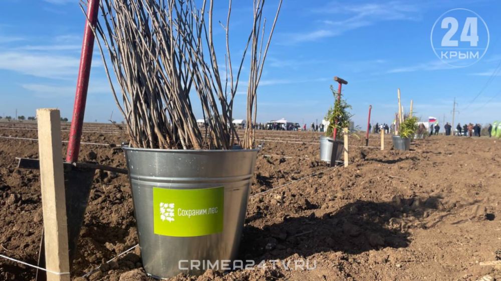 Евпатория тоже присоединилась к экологическому субботнику Евпатория тоже присоединилась к экологическому субботнику