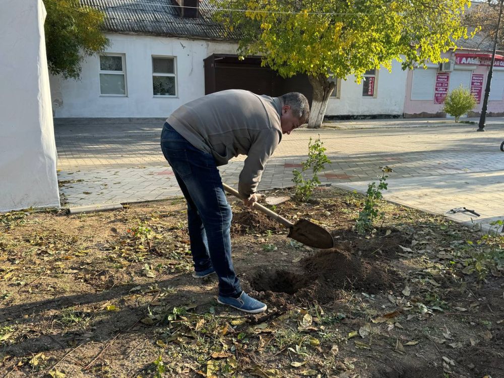 Александр Дудинов: Около 1000 саженцев роз высадили в поселке Черноморское Александр Дудинов: Около 1000 саженцев роз высадили в поселке Черноморское