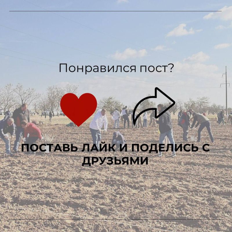 В Крыму стартовал шестой сезон Всероссийской акции «Сохраним лес» В Крыму стартовал шестой сезон Всероссийской акции «Сохраним лес»