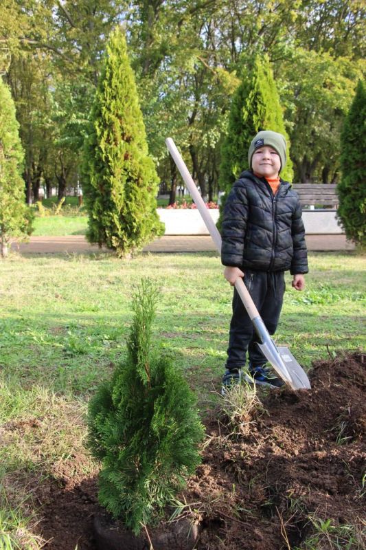 #день_чистоты. В Комсомольском парке высадили 90 туй и 4 можжевельника #день_чистоты. В Комсомольском парке высадили 90 туй и 4 можжевельника