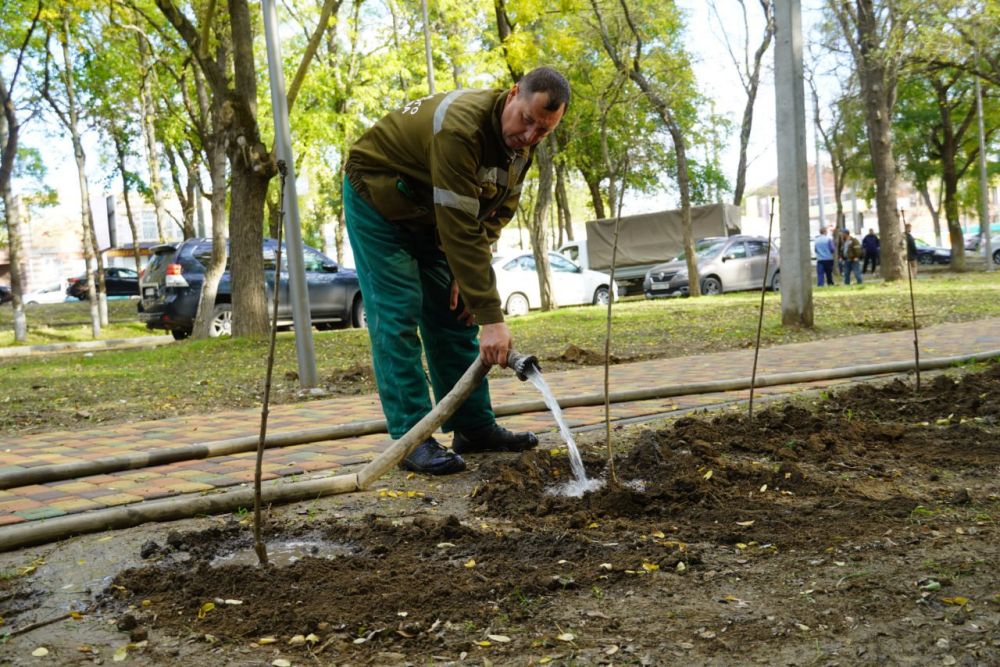 #день_чистоты. Сила в единстве! Керчь присоединилась к масштабной экологической акции «Посади свое дерево жизни».... #день_чистоты. Сила в единстве! Керчь присоединилась к масштабной экологической акции «Посади свое дерево жизни»....
