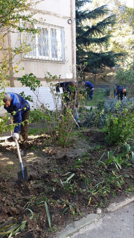Галина Огнёва: Солнечный ноябрьский день — отличное начало для проведения общегородского субботника! Приводим в порядок пляжные, общественные и придомовые территории, скверы и парки, очищаем от мусора и дикой поросли русла рек Галина Огнёва: Солнечный ноябрьский день — отличное начало для проведения общегородского субботника! Приводим в порядок пляжные, общественные и придомовые территории, скверы и парки, очищаем от мусора и дикой поросли русла рек