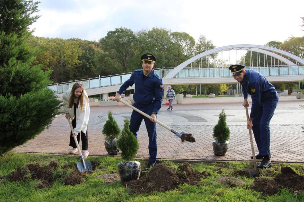 #день_чистоты. В Комсомольском парке высадили 90 туй и 4 можжевельника #день_чистоты. В Комсомольском парке высадили 90 туй и 4 можжевельника