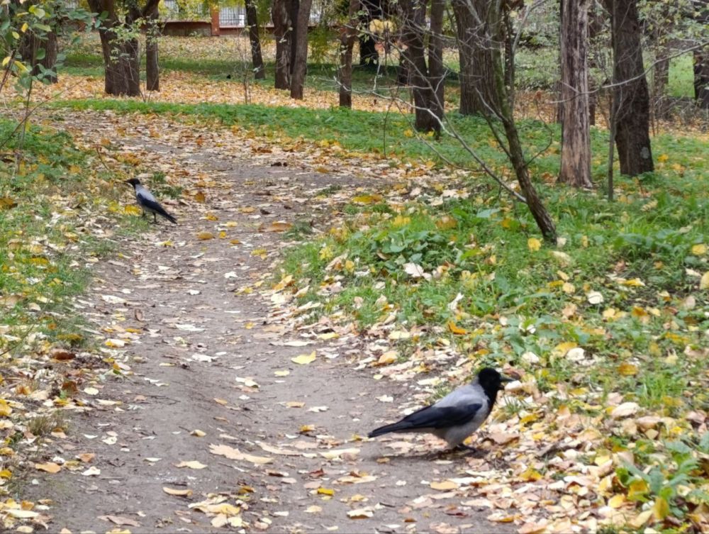 ������������ ���� ���� �� ������ � ������, �� � � �����������