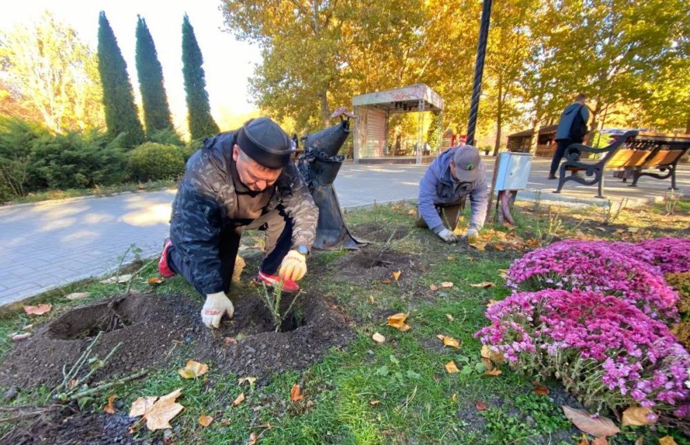 В парке имени Гагарина в Симферополе высадили 100 кустов роз В парке имени Гагарина в Симферополе высадили 100 кустов роз