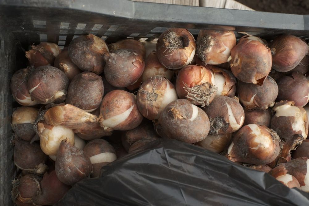 30 ����� ��������� �������� �� ����� ������ �����