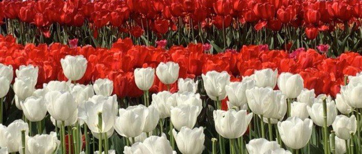 30 ����� ��������� ������� ����� ����� �����