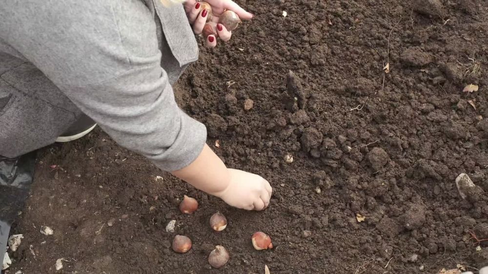 �� ����� ������ ����� ���������� 30 ����� ���������