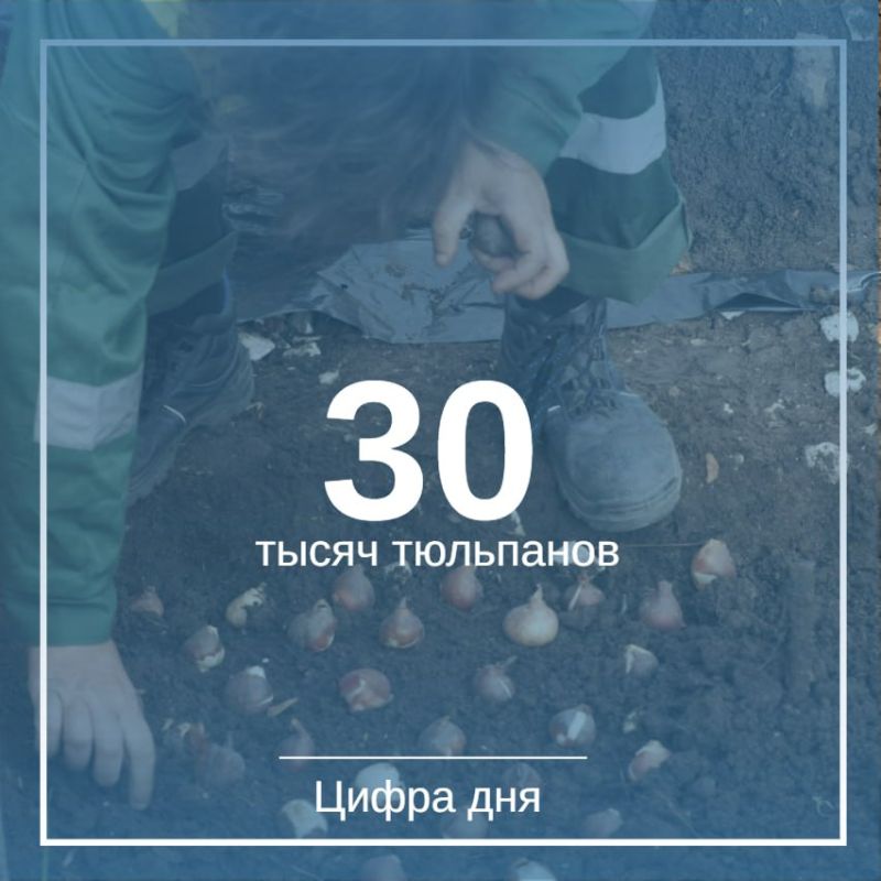 ����� ���� �������� 30 �������� ���������