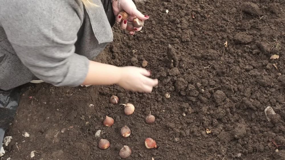 ����� ��������: ������� ���������� �� ������!