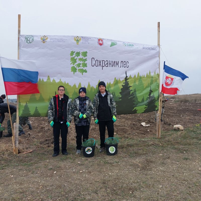 В Крыму продолжаются высадки в рамках Всероссийской акции «Сохраним лес» В Крыму продолжаются высадки в рамках Всероссийской акции «Сохраним лес»