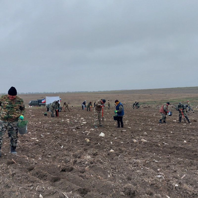Ольга Славгородская: Мы продолжаем высадки в рамках Всероссийской акции «Сохраним лес» Ольга Славгородская: Мы продолжаем высадки в рамках Всероссийской акции «Сохраним лес»