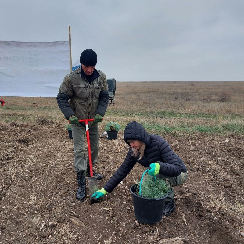Ольга Славгородская: Мы продолжаем высадки в рамках Всероссийской акции «Сохраним лес» Ольга Славгородская: Мы продолжаем высадки в рамках Всероссийской акции «Сохраним лес»
