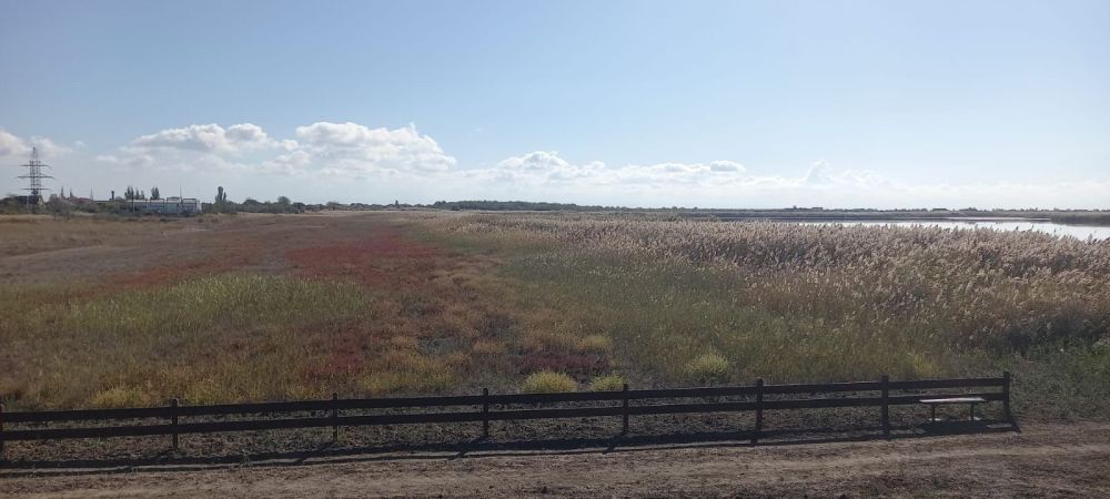 Ольга Славгородская: Делюсь с вами важными, а главное - позитивными новостями Ольга Славгородская: Делюсь с вами важными, а главное - позитивными новостями