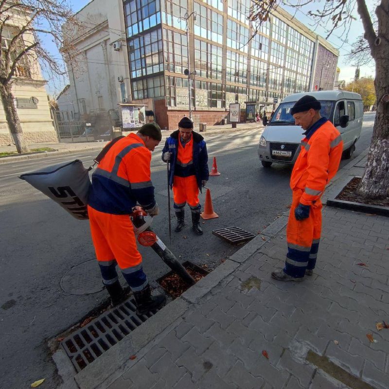 Работа «Водоканала» – от листьев регулярно очищаются дождеприемники и ливневые решетки Работа «Водоканала» – от листьев регулярно очищаются дождеприемники и ливневые решетки